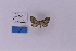  ( - HSS18313)  @11 [ ] Unspecified (default): All Rights Reserved  Unspecified Unspecified