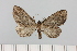  ( - HSS18313)  @11 [ ] Unspecified (default): All Rights Reserved  Unspecified Unspecified