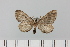  ( - HSS18313)  @11 [ ] Unspecified (default): All Rights Reserved  Unspecified Unspecified