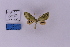  ( - HSS18382)  @11 [ ] Unspecified (default): All Rights Reserved  Unspecified Unspecified