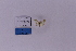  ( - HSS18425)  @11 [ ] Unspecified (default): All Rights Reserved  Unspecified Unspecified