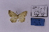 ( - HSS18725)  @11 [ ] Unspecified (default): All Rights Reserved  Unspecified Unspecified