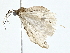  ( - BIOUG80125-E04)  @11 [ ] CreativeCommons - Attribution (2022) CBG Photography Group Centre for Biodiversity Genomics