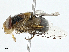  ( - BIOUG97785-F03)  @11 [ ] CreativeCommons - Attribution (2023) CBG Photography Group Centre for Biodiversity Genomics