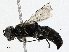  ( - CBG-A01204-A01)  @11 [ ] CreativeCommons - Attribution (2023) CBG Photography Group Centre for Biodiversity Genomics