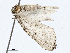  ( - CBG-A01204-A07)  @11 [ ] CreativeCommons - Attribution (2023) CBG Photography Group Centre for Biodiversity Genomics