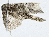  ( - CBG-A02839-E10)  @11 [ ] CreativeCommons - Attribution (2023) CBG Photography Group Centre for Biodiversity Genomics