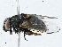  ( - CBG-A02863-F10)  @11 [ ] CreativeCommons - Attribution (2023) CBG Photography Group Centre for Biodiversity Genomics