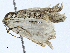  ( - CBG-A02897-B09)  @11 [ ] CreativeCommons - Attribution (2023) CBG Photography Group Centre for Biodiversity Genomics