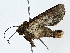  ( - BIOUG80717-A12)  @11 [ ] CreativeCommons - Attribution (2022) CBG Photography Group Centre for Biodiversity Genomics