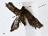  ( - CBG-A01225-B12)  @11 [ ] CreativeCommons - Attribution (2023) CBG Photography Group Centre for Biodiversity Genomics
