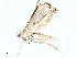  ( - CBG-A02841-H02)  @11 [ ] CreativeCommons - Attribution (2023) CBG Photography Group Centre for Biodiversity Genomics