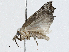  ( - CBG-A02842-E01)  @11 [ ] CreativeCommons - Attribution (2023) CBG Photography Group Centre for Biodiversity Genomics
