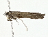  ( - BIOUG80718-A01)  @11 [ ] CreativeCommons - Attribution (2022) CBG Photography Group Centre for Biodiversity Genomics