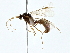  ( - BIOUG80718-B10)  @11 [ ] CreativeCommons - Attribution (2022) CBG Photography Group Centre for Biodiversity Genomics