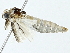  ( - BIOUG91291-A09)  @11 [ ] CreativeCommons - Attribution (2022) CBG Photography Group Centre for Biodiversity Genomics