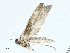  ( - CBG-A01201-A03)  @11 [ ] CreativeCommons - Attribution (2023) CBG Photography Group Centre for Biodiversity Genomics