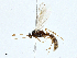  ( - CBG-A01201-B07)  @11 [ ] CreativeCommons - Attribution (2023) CBG Photography Group Centre for Biodiversity Genomics