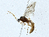  ( - CBG-A01201-C12)  @11 [ ] CreativeCommons - Attribution (2023) CBG Photography Group Centre for Biodiversity Genomics