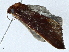  ( - CBG-A01201-D10)  @11 [ ] CreativeCommons - Attribution (2023) CBG Photography Group Centre for Biodiversity Genomics
