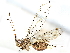  ( - CBG-A01225-E04)  @11 [ ] CreativeCommons - Attribution (2023) CBG Photography Group Centre for Biodiversity Genomics