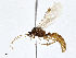  ( - CBG-A01225-E07)  @11 [ ] CreativeCommons - Attribution (2023) CBG Photography Group Centre for Biodiversity Genomics
