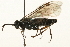  ( - 09PROBE-02761)  @14 [ ] CreativeCommons - Attribution (2010) Unspecified Centre for Biodiversity Genomics