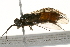  ( - 09PROBE-02764)  @13 [ ] CreativeCommons - Attribution (2010) Unspecified Centre for Biodiversity Genomics