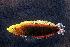  ( - SAIAB T7276)  @12 [ ] Unspecified (default): All Rights Reserved  Unspecified Unspecified