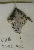  ( - ACEP08-975)  @13 [ ] Unspecified (default): All Rights Reserved  Unspecified Unspecified