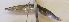  ( - GP8-539)  @12 [ ] Unspecified (default): All Rights Reserved  Unspecified Unspecified