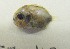  ( - GP8-568)  @12 [ ] Unspecified (default): All Rights Reserved  Unspecified Unspecified