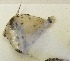  ( - GP8-604)  @12 [ ] Unspecified (default): All Rights Reserved  Unspecified Unspecified