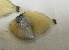  ( - GP8-648)  @12 [ ] Unspecified (default): All Rights Reserved  Unspecified Unspecified