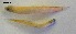  ( - GP8-676)  @13 [ ] Unspecified (default): All Rights Reserved  Unspecified Unspecified