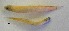 ( - GP8-677)  @12 [ ] Unspecified (default): All Rights Reserved  Unspecified Unspecified