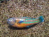  ( - Smith 220.65 #1)  @11 [ ] CreativeCommons - Attribution Non-Commercial Share-Alike (2014) SAIAB SAIAB