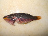  ( - Smith 220.55 #2)  @11 [ ] CreativeCommons - Attribution Non-Commercial Share-Alike (2014) SAIAB SAIAB