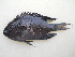  ( - Smith 219.29 #1)  @14 [ ] CreativeCommons - Attribution Non-Commercial Share-Alike (2014) SAIAB SAIAB