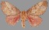  ( - UCOL 17771)  @14 [ ] Unspecified (default): All Rights Reserved  Unspecified Unspecified