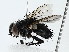  (Schembria - BIOUG80138-E12)  @11 [ ] CreativeCommons - Attribution (2022) CBG Photography Group Centre for Biodiversity Genomics