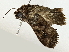  ( - BIOUG95307-H05)  @11 [ ] CreativeCommons - Attribution (2023) CBG Photography Group Centre for Biodiversity Genomics