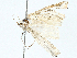  ( - BIOUG95308-A09)  @11 [ ] CreativeCommons - Attribution (2023) CBG Photography Group Centre for Biodiversity Genomics