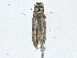  ( - CBG-A00263-E09)  @11 [ ] CreativeCommons - Attribution (2023) CBG Photography Group Centre for Biodiversity Genomics