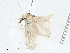  ( - CBG-A00263-E10)  @11 [ ] CreativeCommons - Attribution (2023) CBG Photography Group Centre for Biodiversity Genomics
