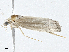  ( - CBG-A00263-F08)  @11 [ ] CreativeCommons - Attribution (2023) CBG Photography Group Centre for Biodiversity Genomics