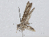  ( - CBG-A04441-B09)  @11 [ ] CreativeCommons - Attribution (2023) CBG Photography Group Centre for Biodiversity Genomics