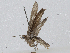  ( - CBG-A04441-B11)  @11 [ ] CreativeCommons - Attribution (2023) CBG Photography Group Centre for Biodiversity Genomics