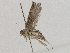  ( - CBG-A04441-C01)  @11 [ ] CreativeCommons - Attribution (2023) CBG Photography Group Centre for Biodiversity Genomics