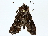  ( - BIOUG73639-D08)  @11 [ ] CreativeCommons - Attribution (2022) CBG Photography Group Centre for Biodiversity Genomics